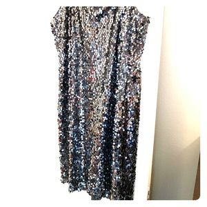 Express Sequin Dress
